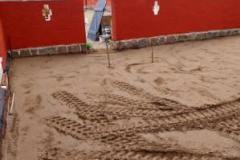 thumbnail_image0000001