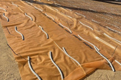 thumbnail_image3