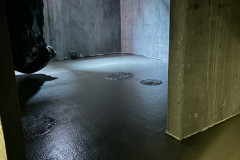 thumbnail_IMG_3924